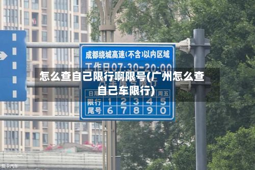 怎么查自己限行啊限号(广州怎么查自己车限行)-第2张图片