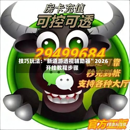 技巧玩法:“新道游透视辅助器”2026开挂教程步骤-第3张图片