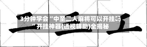 3分钟学会“中至二人麻将可以开挂吗”开挂神器{透视辅助}全揭秘-第3张图片