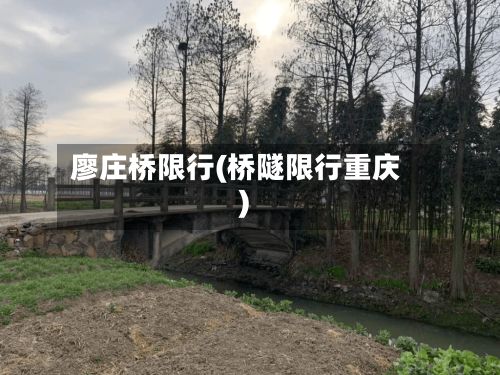 廖庄桥限行(桥隧限行重庆)