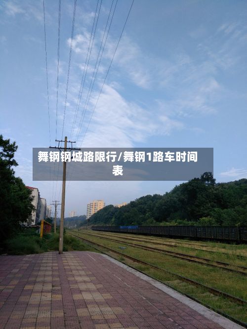 舞钢钢城路限行/舞钢1路车时间表