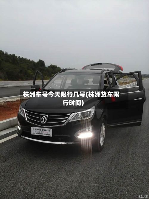 株洲车号今天限行几号(株洲货车限行时间)