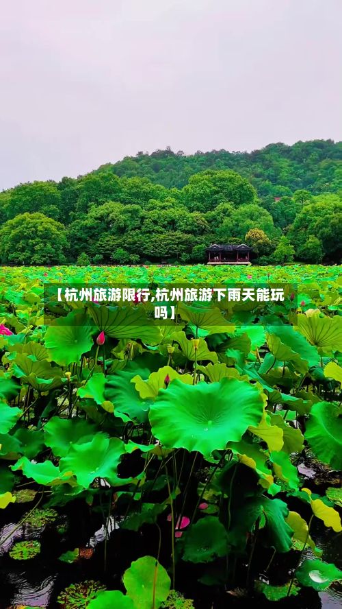 【杭州旅游限行,杭州旅游下雨天能玩吗】-第2张图片
