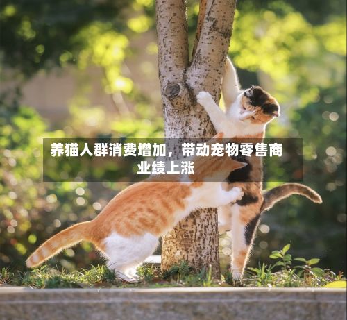 养猫人群消费增加，带动宠物零售商业绩上涨-第2张图片