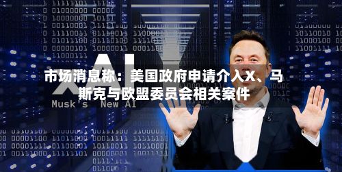 市场消息称：美国政府申请介入X、马斯克与欧盟委员会相关案件