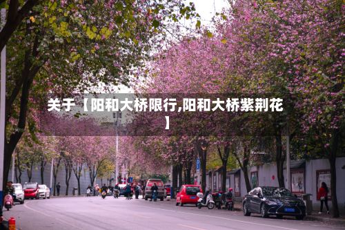关于【阳和大桥限行,阳和大桥紫荆花】