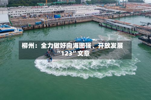 柳州：全力做好向海图强、开放发展“123”文章-第2张图片