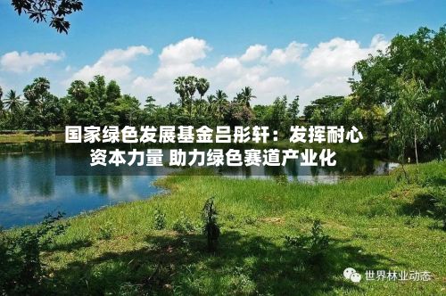 国家绿色发展基金吕彤轩:发挥耐心资本力量 助力绿色赛道产业化-第2张图片