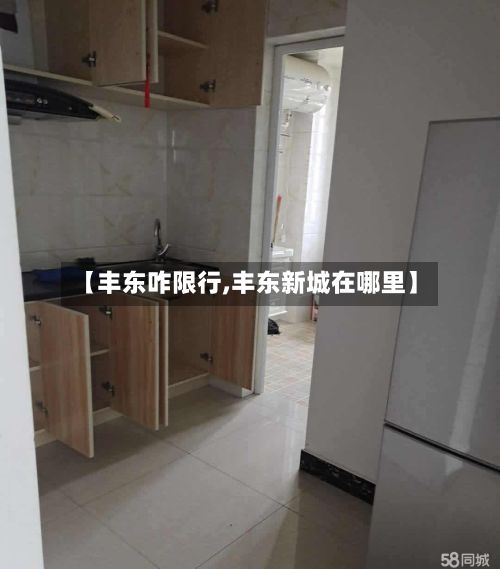 【丰东咋限行,丰东新城在哪里】