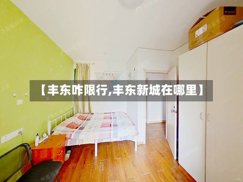 【丰东咋限行,丰东新城在哪里】-第3张图片