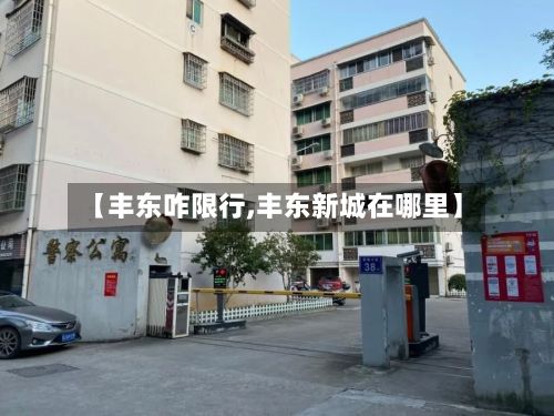 【丰东咋限行,丰东新城在哪里】-第2张图片