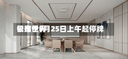 银建世界公布于9月25日上午起停牌-第2张图片