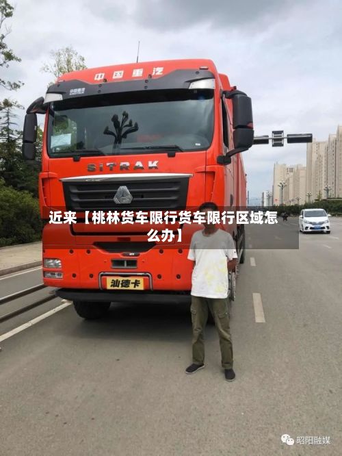 近来【桃林货车限行货车限行区域怎么办】-第3张图片