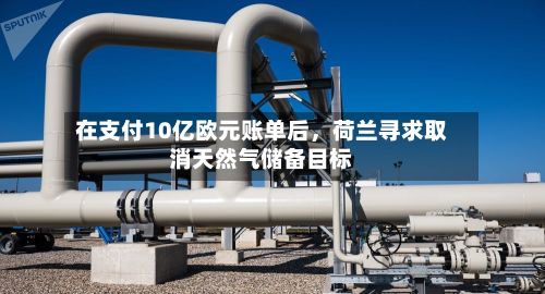 在支付10亿欧元账单后，荷兰寻求取消天然气储备目标-第3张图片