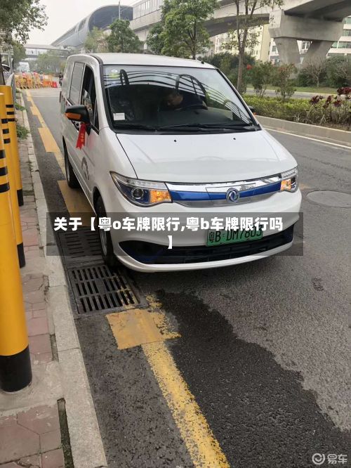 关于【粤o车牌限行,粤b车牌限行吗】