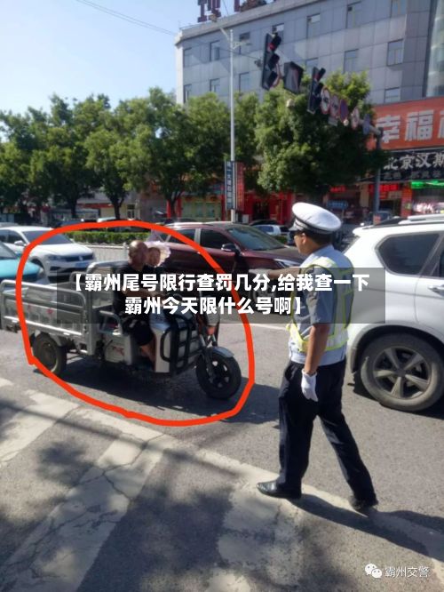 【霸州尾号限行查罚几分,给我查一下霸州今天限什么号啊】