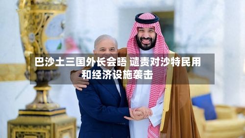 巴沙土三国外长会晤 谴责对沙特民用和经济设施袭击