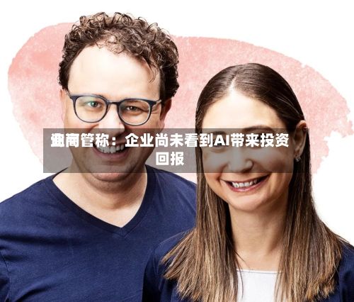 询问业高管称：企业尚未看到AI带来投资回报-第2张图片