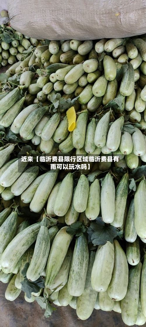 近来【临沂费县限行区域临沂费县有雨可以玩水吗】