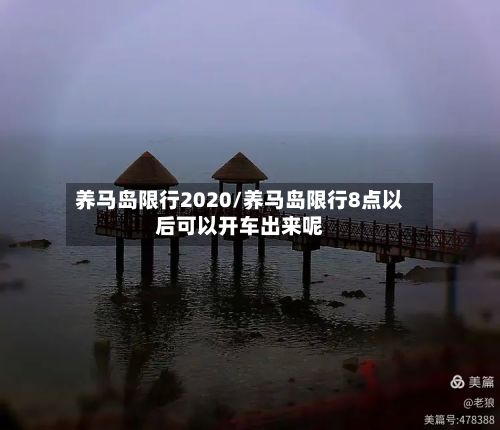 养马岛限行2020/养马岛限行8点以后可以开车出来呢-第3张图片