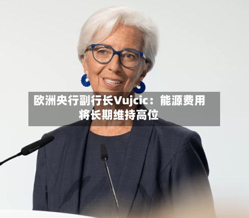 欧洲央行副行长Vujcic：能源费用将长期维持高位-第2张图片