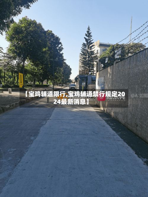 【宝鸡辅道限行,宝鸡辅道禁行规定2024最新消息】