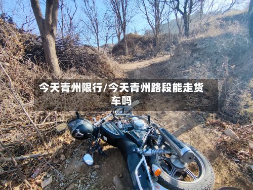 今天青州限行/今天青州路段能走货车吗-第3张图片