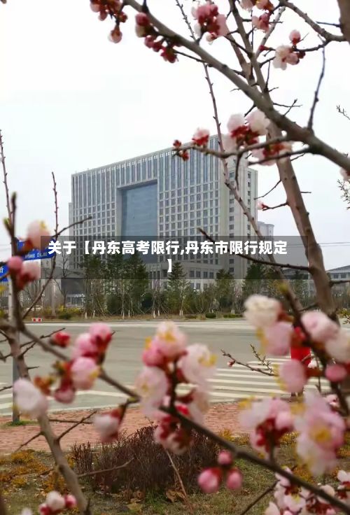 关于【丹东高考限行,丹东市限行规定】-第2张图片