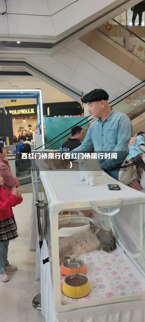 西红门桥限行(西红门桥限行时间)