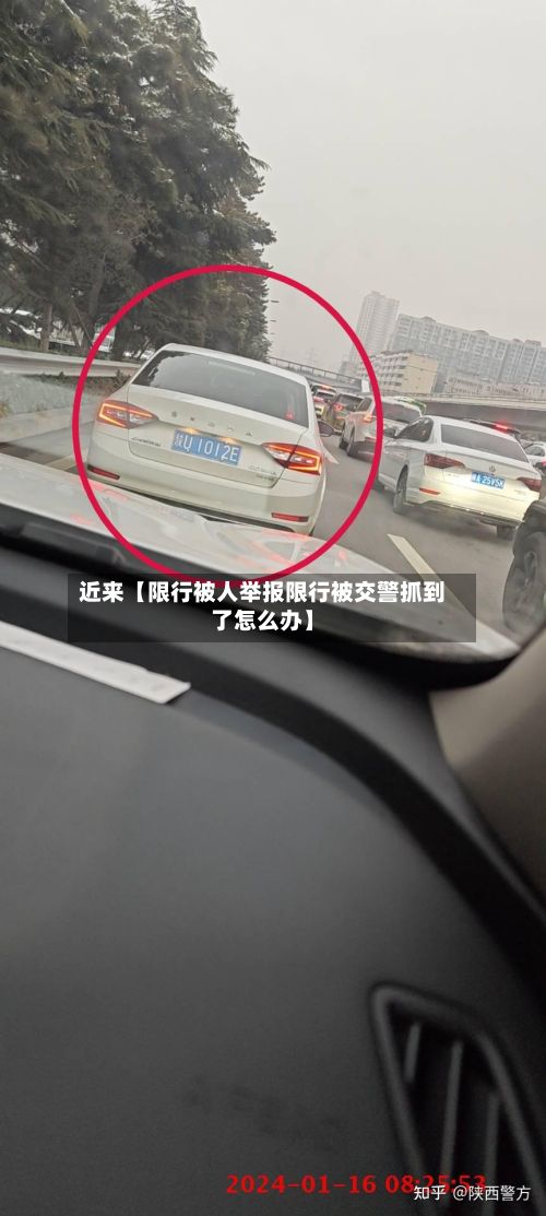 近来【限行被人举报限行被交警抓到了怎么办】
