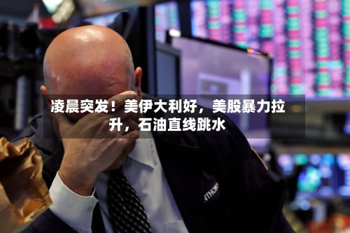 凌晨突发！美伊大利好	，美股暴力拉升，石油直线跳水-第3张图片