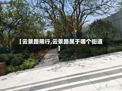 【云景路限行,云景路属于哪个街道】-第3张图片