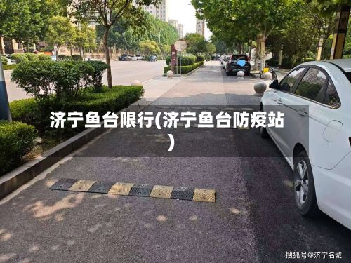 济宁鱼台限行(济宁鱼台防疫站)-第2张图片