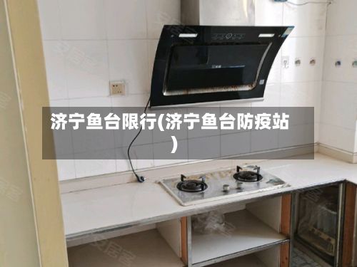 济宁鱼台限行(济宁鱼台防疫站)-第3张图片