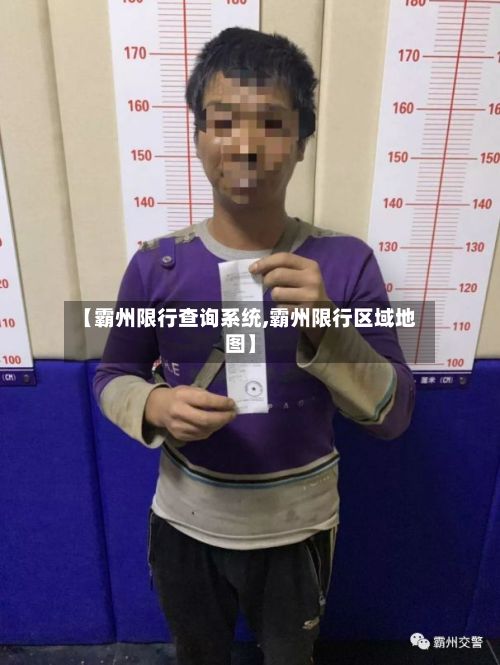 【霸州限行查询系统,霸州限行区域地图】-第3张图片