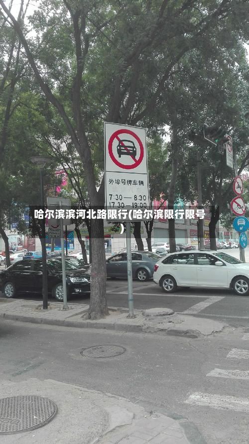 哈尔滨滨河北路限行(哈尔滨限行限号)-第2张图片