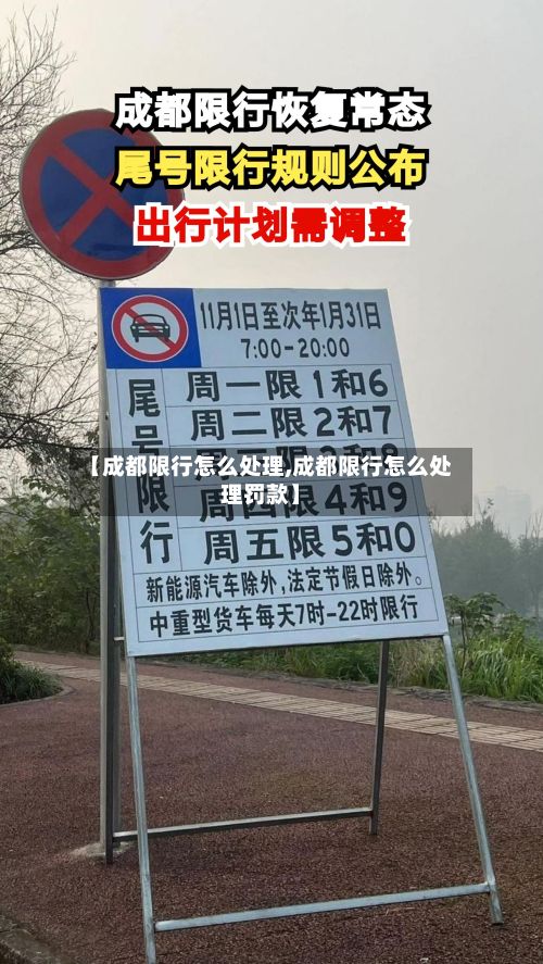 【成都限行怎么处理,成都限行怎么处理罚款】-第2张图片