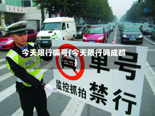 今天限行嘛号(今天限行吗成都)