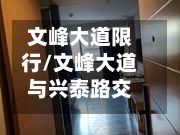 文峰大道限行/文峰大道与兴泰路交叉口-第2张图片