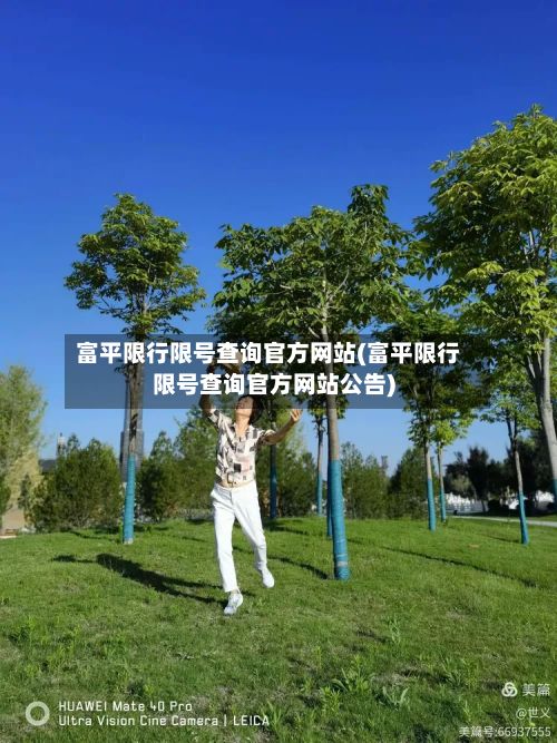 富平限行限号查询官方网站(富平限行限号查询官方网站公告)-第2张图片