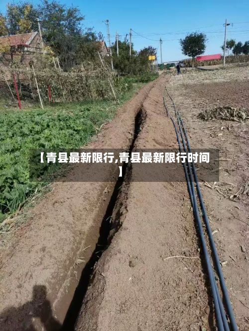 【青县最新限行,青县最新限行时间】