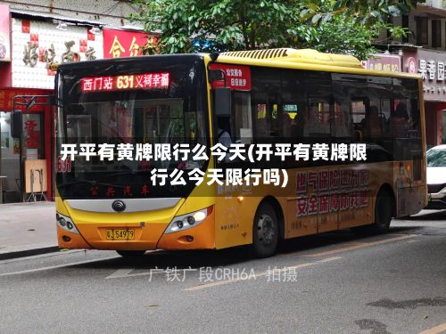 开平有黄牌限行么今天(开平有黄牌限行么今天限行吗)