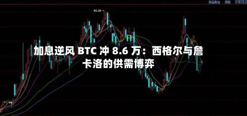 加息逆风 BTC 冲 8.6 万：西格尔与詹卡洛的供需博弈