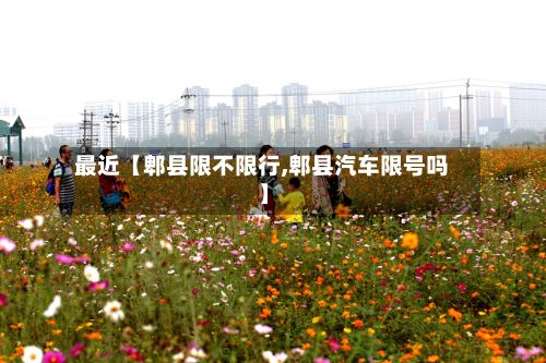 最近【郫县限不限行,郫县汽车限号吗】-第2张图片