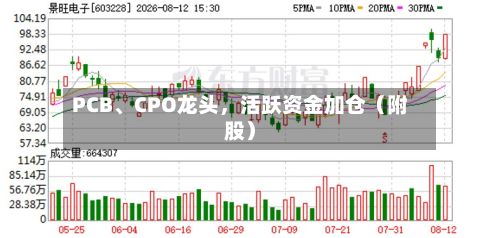 PCB、CPO龙头，活跃资金加仓（附股）-第2张图片