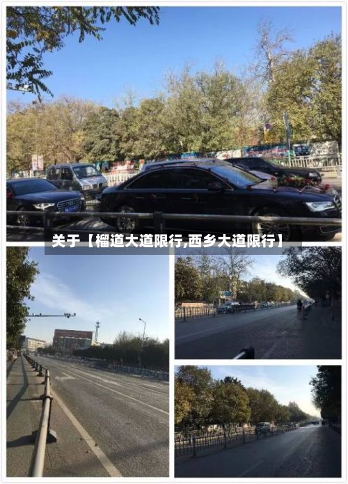 关于【榴道大道限行,西乡大道限行】