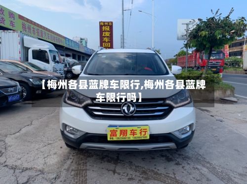 【梅州各县蓝牌车限行,梅州各县蓝牌车限行吗】-第2张图片