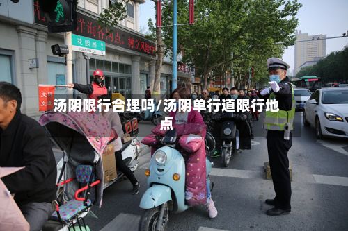汤阴限行合理吗/汤阴单行道限行地点-第2张图片