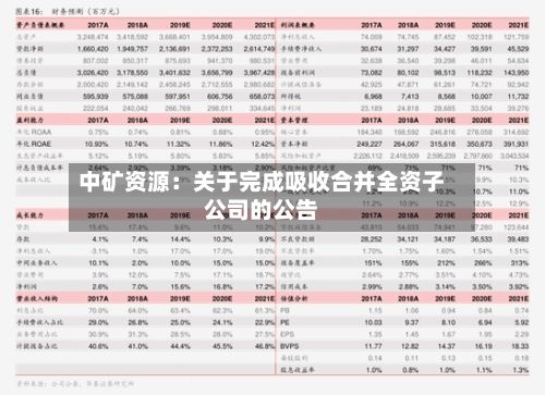 中矿资源：关于完成吸收合并全资子公司的公告