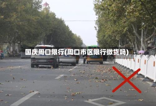 国庆周口限行(周口市区限行微货吗)